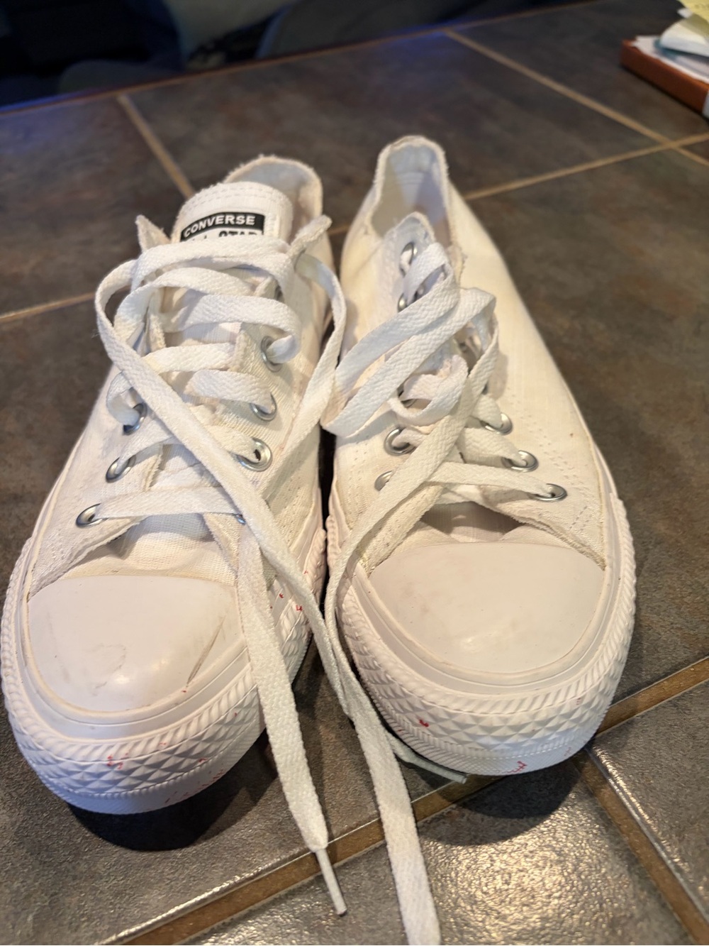 Converse White Canvas Low Top Sneakers